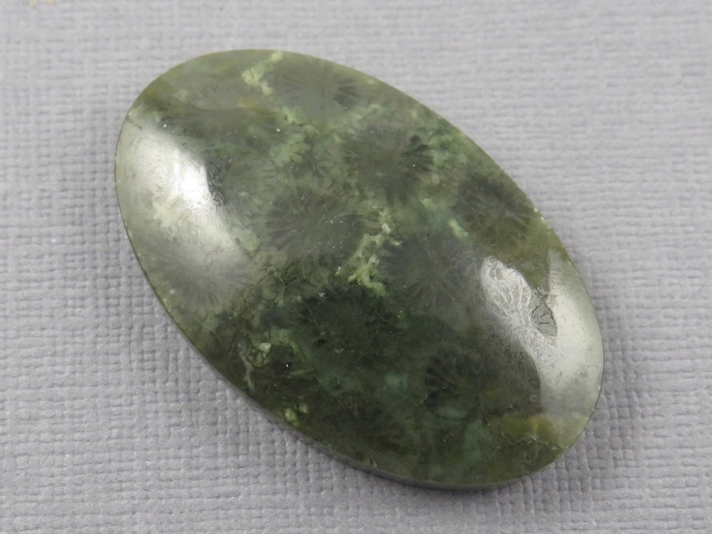 Green Fossilized Coral Oval Cabochon | Agatized Gemstone | 39x25mm, 56ct | Indonesia | FC115 - Gem Enthusiast