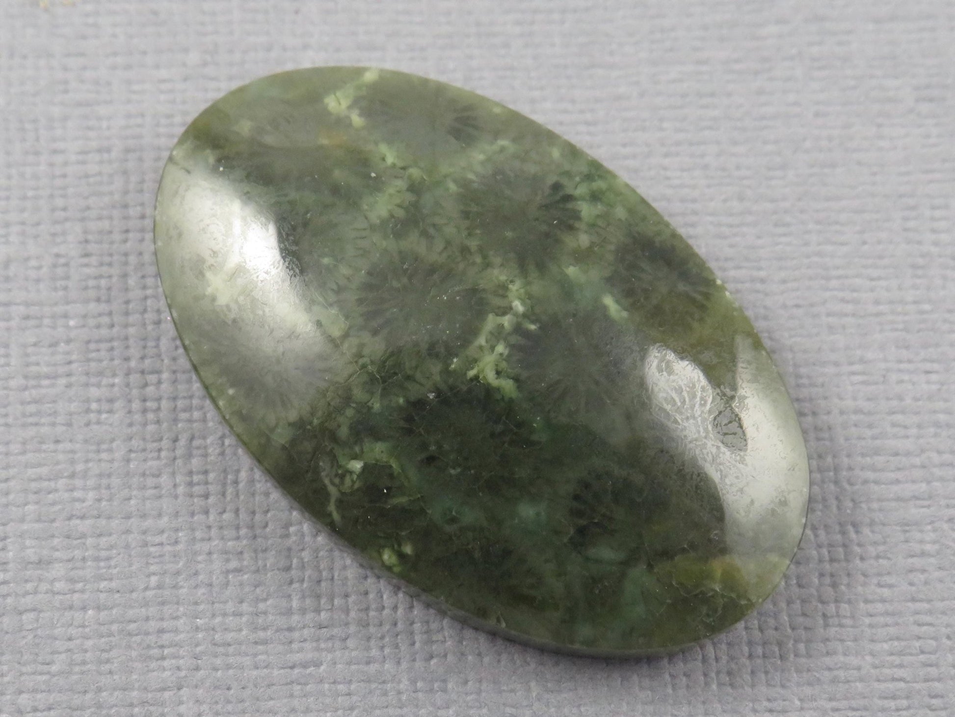 Green Fossilized Coral Oval Cabochon | Agatized Gemstone | 39x25mm, 56ct | Indonesia | FC115 - Gem Enthusiast
