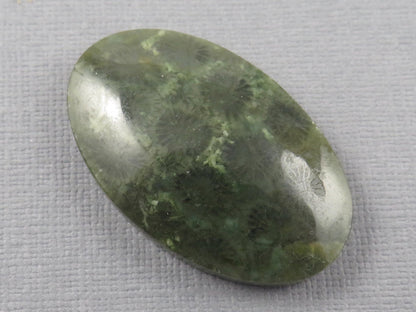 Green Fossilized Coral Oval Cabochon | Agatized Gemstone | 39x25mm, 56ct | Indonesia | FC115 - Gem Enthusiast