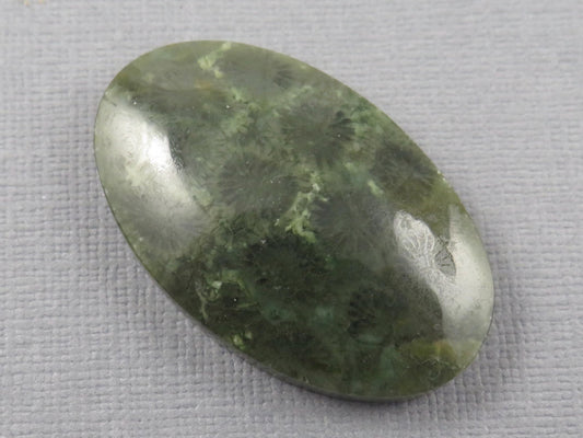 Green Fossilized Coral Oval Cabochon | Agatized Gemstone | 39x25mm, 56ct | Indonesia | FC115 - Gem Enthusiast