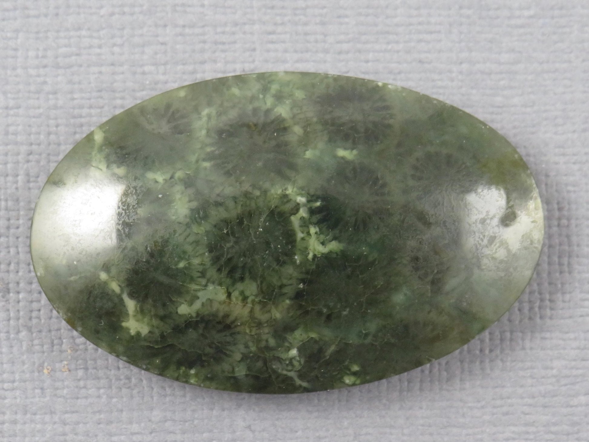Green Fossilized Coral Oval Cabochon | Agatized Gemstone | 39x25mm, 56ct | Indonesia | FC115 - Gem Enthusiast