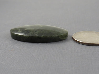 Green Fossilized Coral Oval Cabochon | Agatized Gemstone | 39x25mm, 56ct | Indonesia | FC115 - Gem Enthusiast