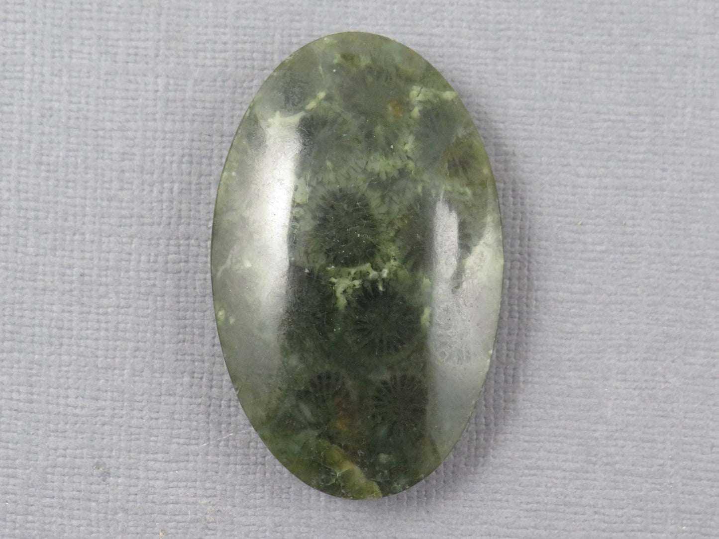 Green Fossilized Coral Oval Cabochon | Agatized Gemstone | 39x25mm, 56ct | Indonesia | FC115 - Gem Enthusiast