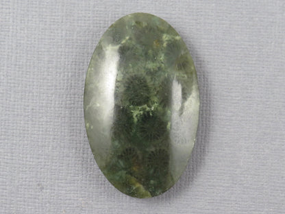 Green Fossilized Coral Oval Cabochon | Agatized Gemstone | 39x25mm, 56ct | Indonesia | FC115 - Gem Enthusiast