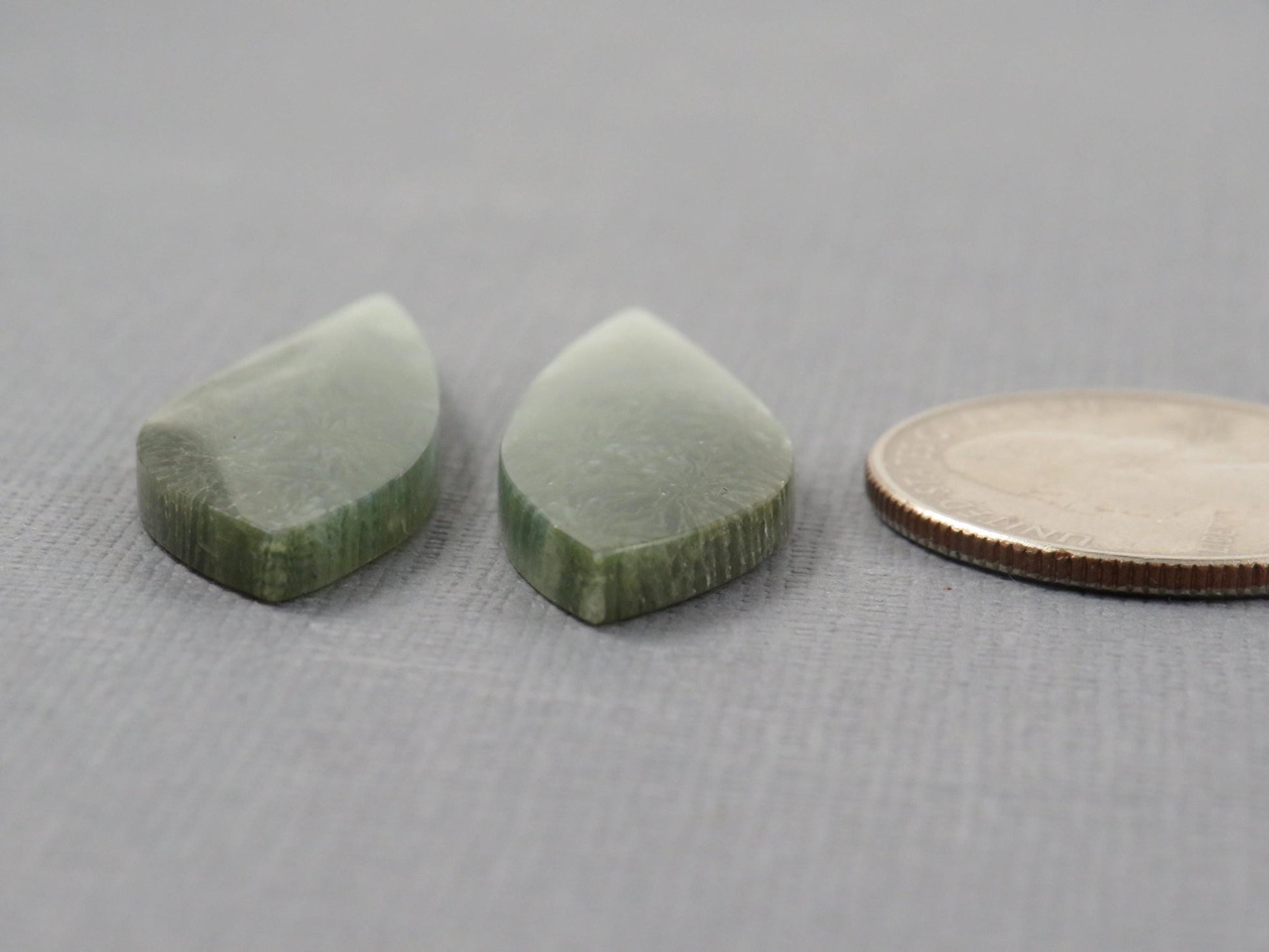 Green Fossilized Coral Pair | Fossil | 36.5x12.5mm, 23ct | Indonesia | FC106 - Gem Enthusiast