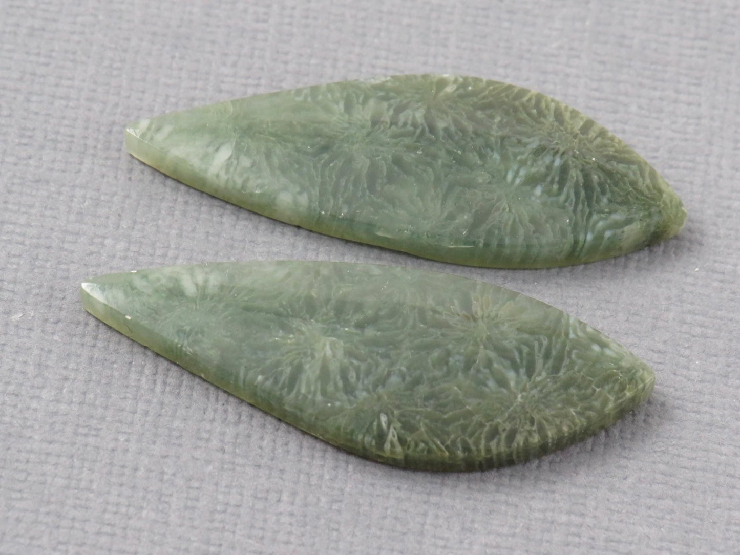Green Fossilized Coral Pair | Fossil | 36.5x12.5mm, 23ct | Indonesia | FC106 - Gem Enthusiast