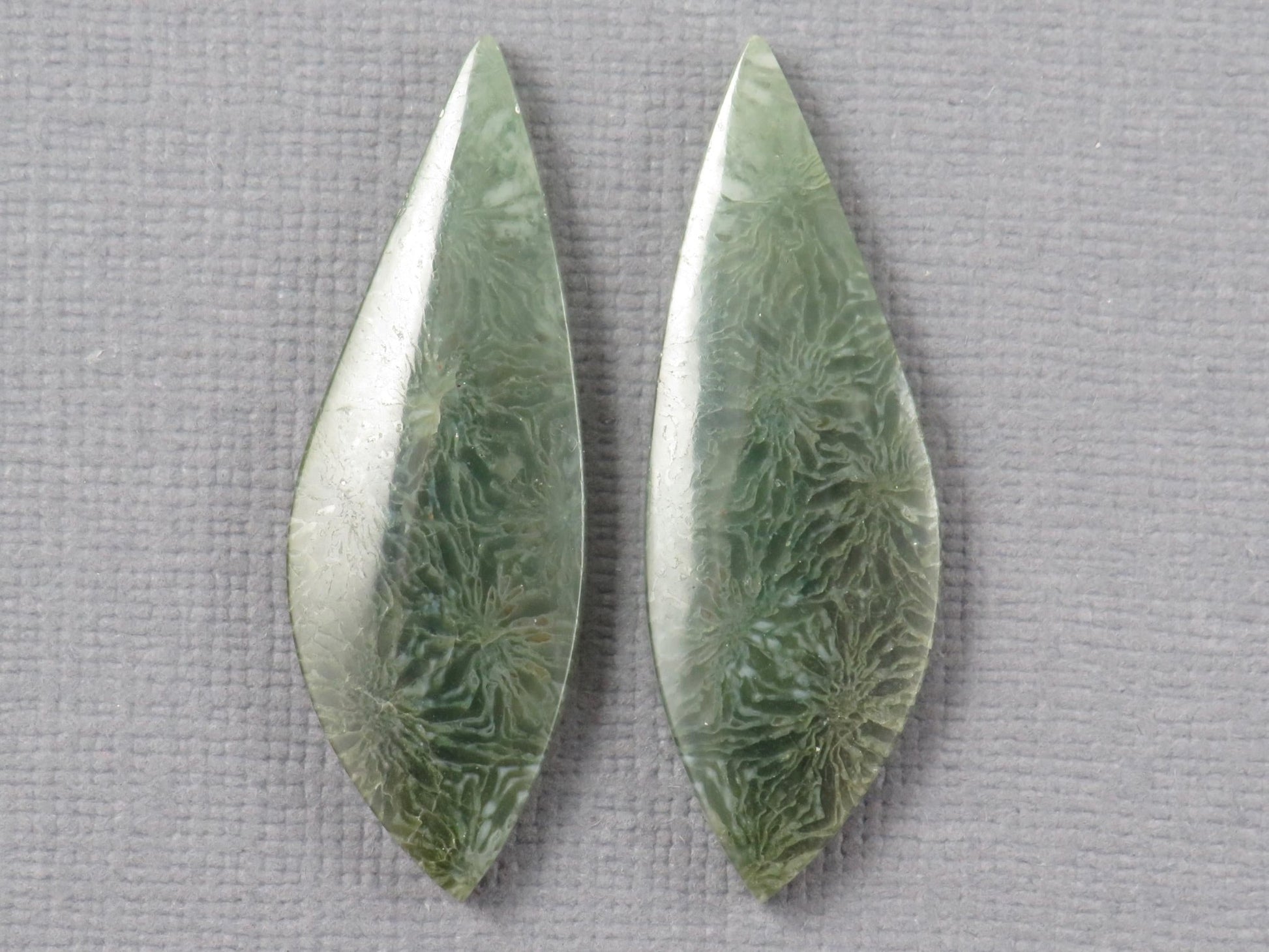Green Fossilized Coral Pair | Fossil | 36.5x12.5mm, 23ct | Indonesia | FC106 - Gem Enthusiast
