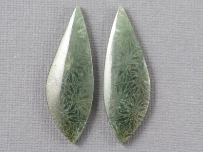 Green Fossilized Coral Pair | Fossil | 36.5x12.5mm, 23ct | Indonesia | FC106 - Gem Enthusiast