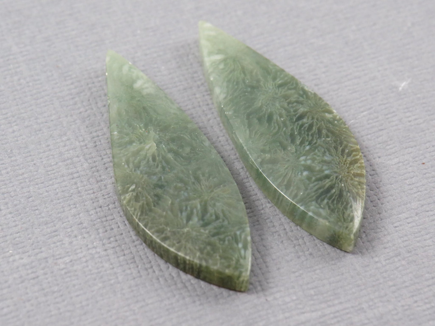 Green Fossilized Coral Pair | Fossil | 36.5x12.5mm, 23ct | Indonesia | FC106 - Gem Enthusiast