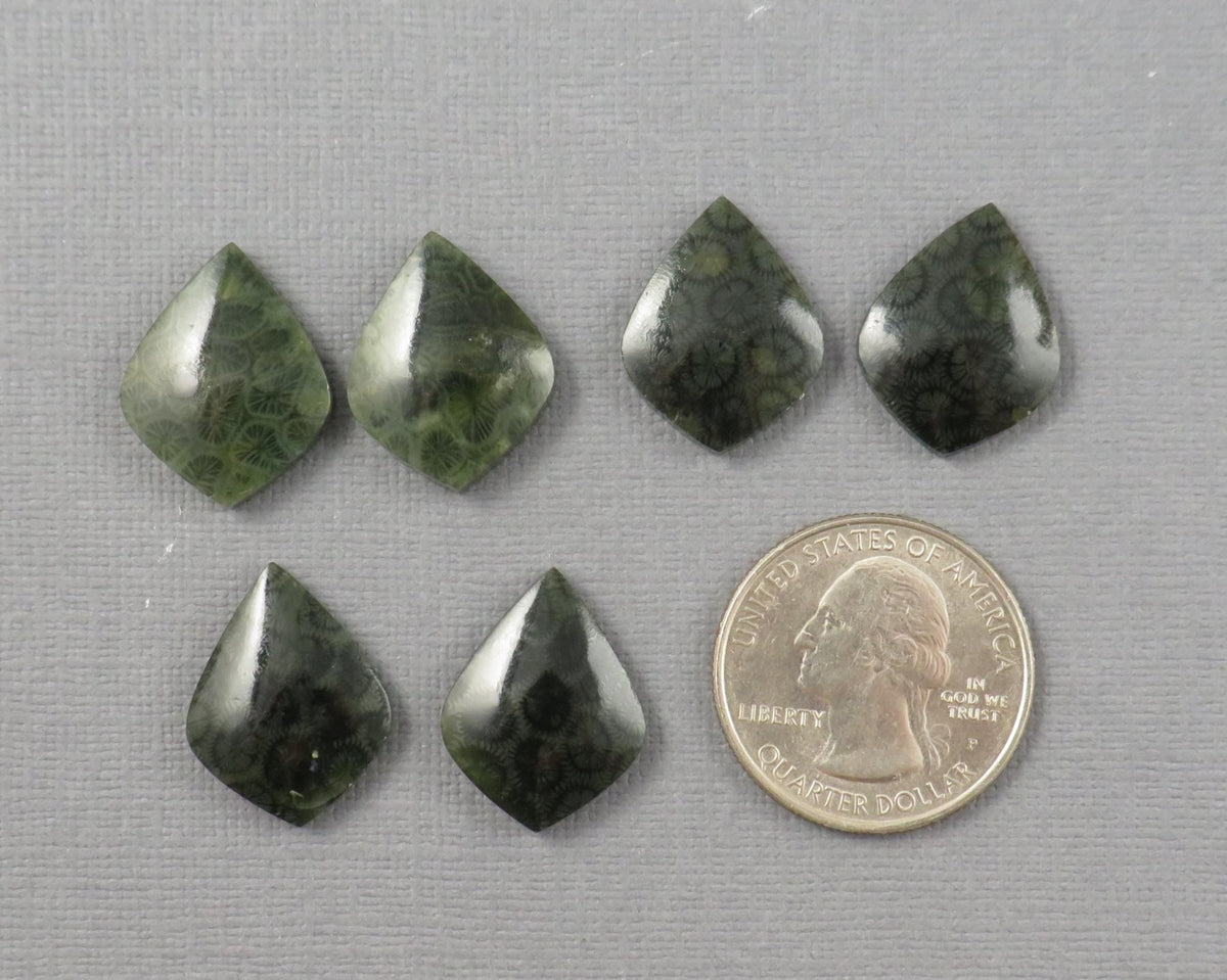 Green Fossilized Coral Pairs | Agatized Coral | 19.5–20mm | Per Pair | Indonesia | FC108 - Gem Enthusiast