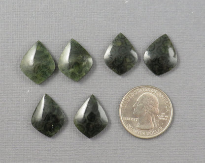 Green Fossilized Coral Pairs | Agatized Coral | 19.5–20mm | Per Pair | Indonesia | FC108 - Gem Enthusiast