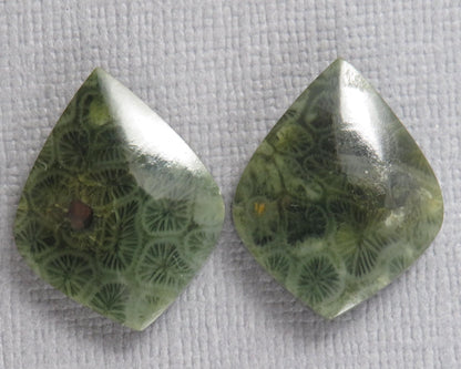 Green Fossilized Coral Pairs | Agatized Coral | 19.5–20mm | Per Pair | Indonesia | FC108 - Gem Enthusiast