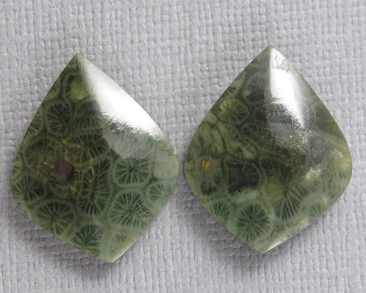 Green Fossilized Coral Pairs | Agatized Coral | 19.5–20mm | Per Pair | Indonesia | FC108 - Gem Enthusiast