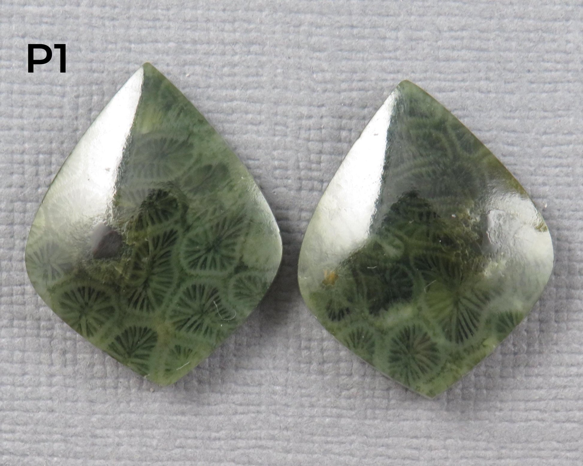 Green Fossilized Coral Pairs | Agatized Coral | 19.5–20mm | Per Pair | Indonesia | FC108 - Gem Enthusiast