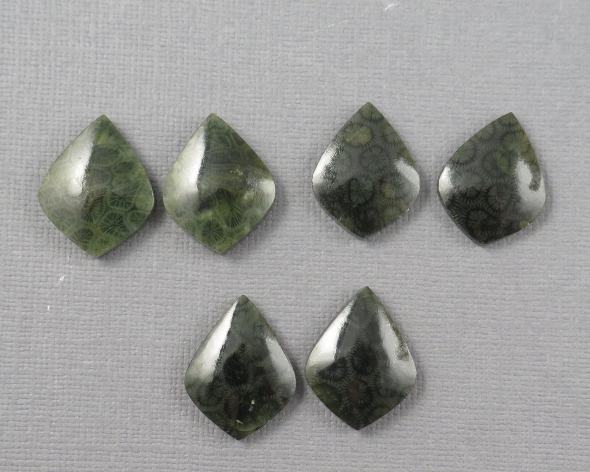 Green Fossilized Coral Pairs | Agatized Coral | 19.5–20mm | Per Pair | Indonesia | FC108 - Gem Enthusiast