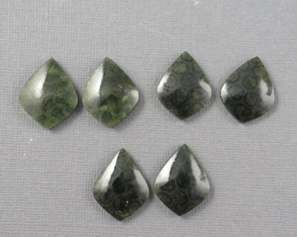 Green Fossilized Coral Pairs | Agatized Coral | 19.5–20mm | Per Pair | Indonesia | FC108 - Gem Enthusiast