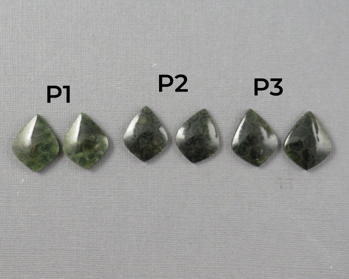 Green Fossilized Coral Pairs | Agatized Coral | 19.5–20mm | Per Pair | Indonesia | FC108 - Gem Enthusiast