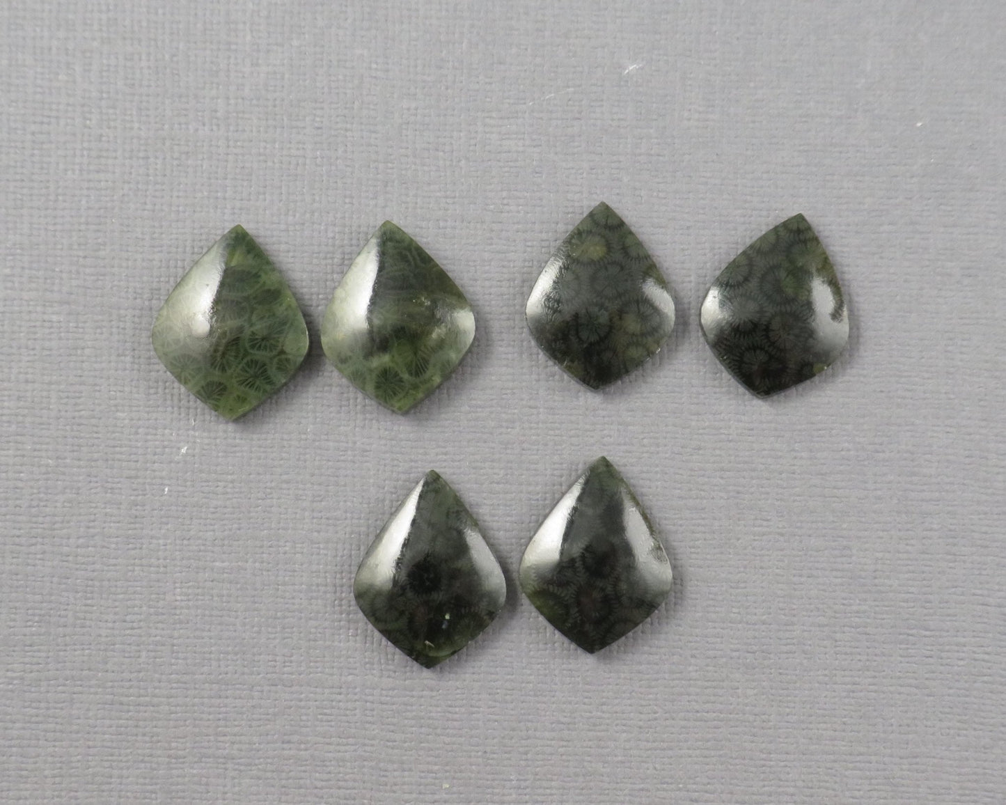 Green Fossilized Coral Pairs | Agatized Coral | 19.5–20mm | Per Pair | Indonesia | FC108 - Gem Enthusiast