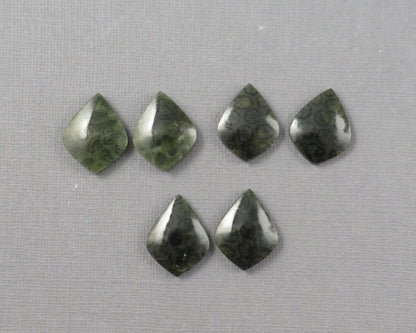 Green Fossilized Coral Pairs | Agatized Coral | 19.5–20mm | Per Pair | Indonesia | FC108 - Gem Enthusiast