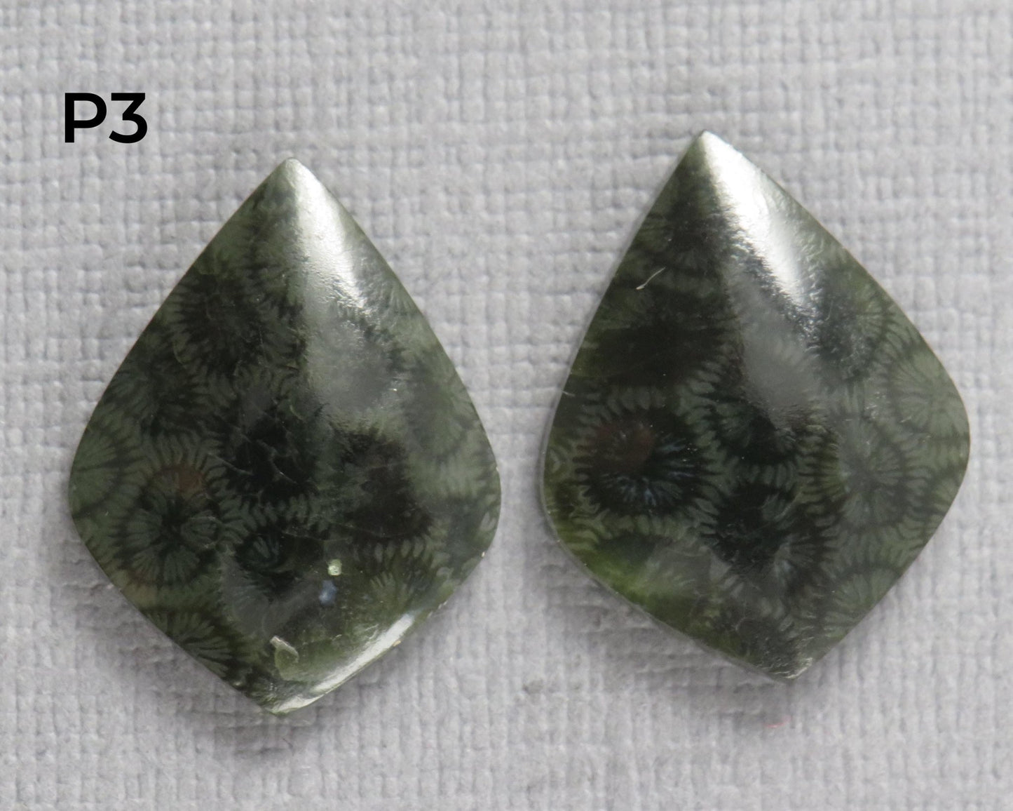 Green Fossilized Coral Pairs | Agatized Coral | 19.5–20mm | Per Pair | Indonesia | FC108 - Gem Enthusiast