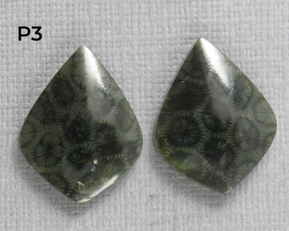 Green Fossilized Coral Pairs | Agatized Coral | 19.5–20mm | Per Pair | Indonesia | FC108 - Gem Enthusiast
