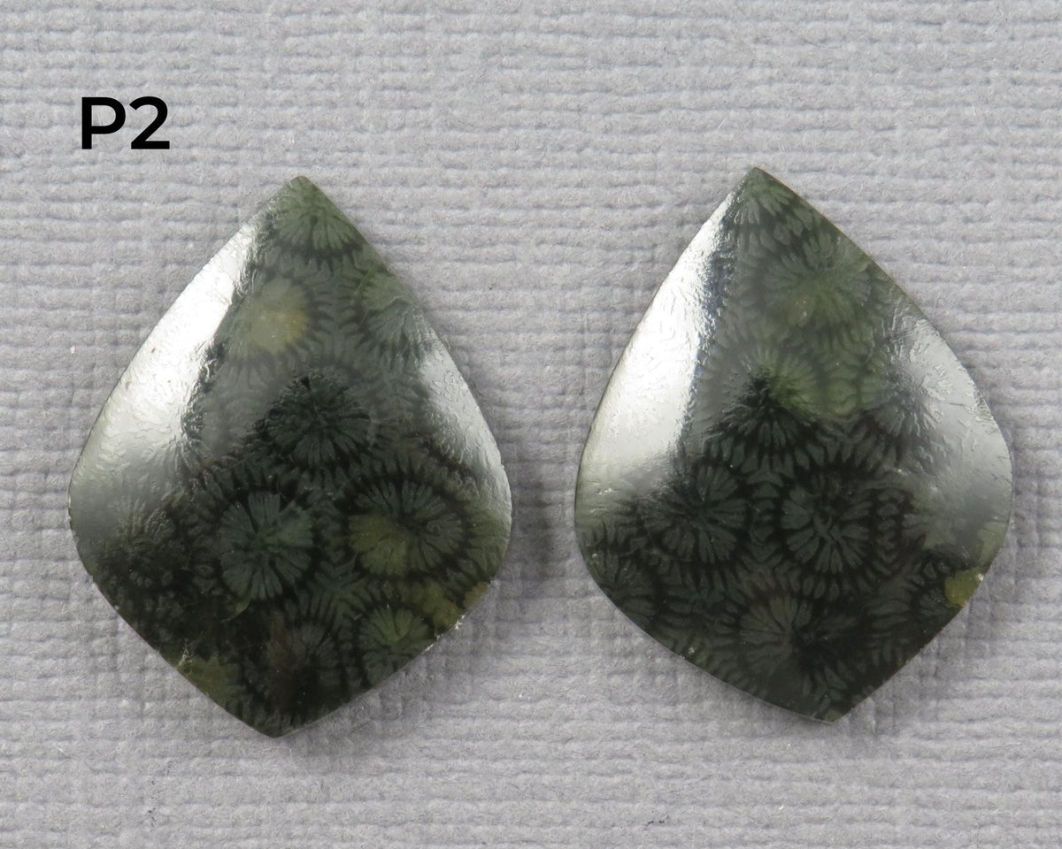 Green Fossilized Coral Pairs | Agatized Coral | 19.5–20mm | Per Pair | Indonesia | FC108 - Gem Enthusiast