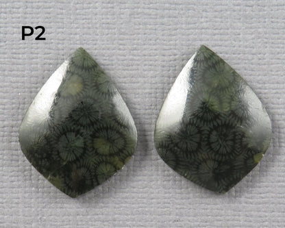 Green Fossilized Coral Pairs | Agatized Coral | 19.5–20mm | Per Pair | Indonesia | FC108 - Gem Enthusiast
