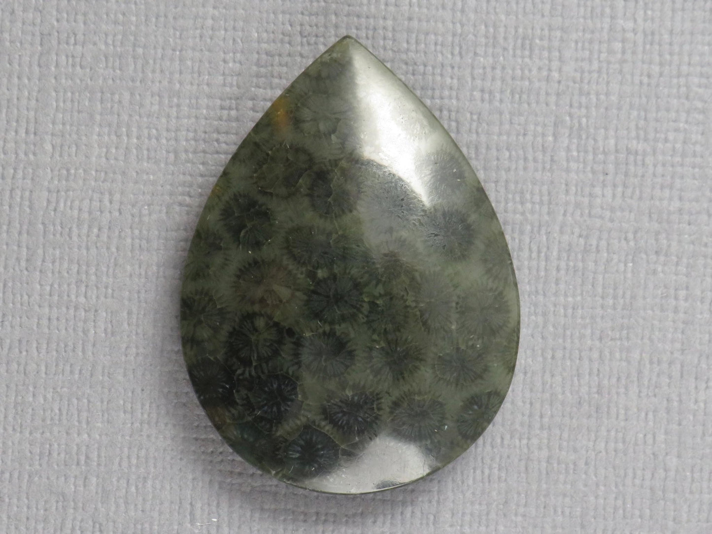 Green Fossilized Coral Pear Cabochon | Agatized Gemstone | 33x25mm, 35ct | Indonesia | FC110 - Gem Enthusiast