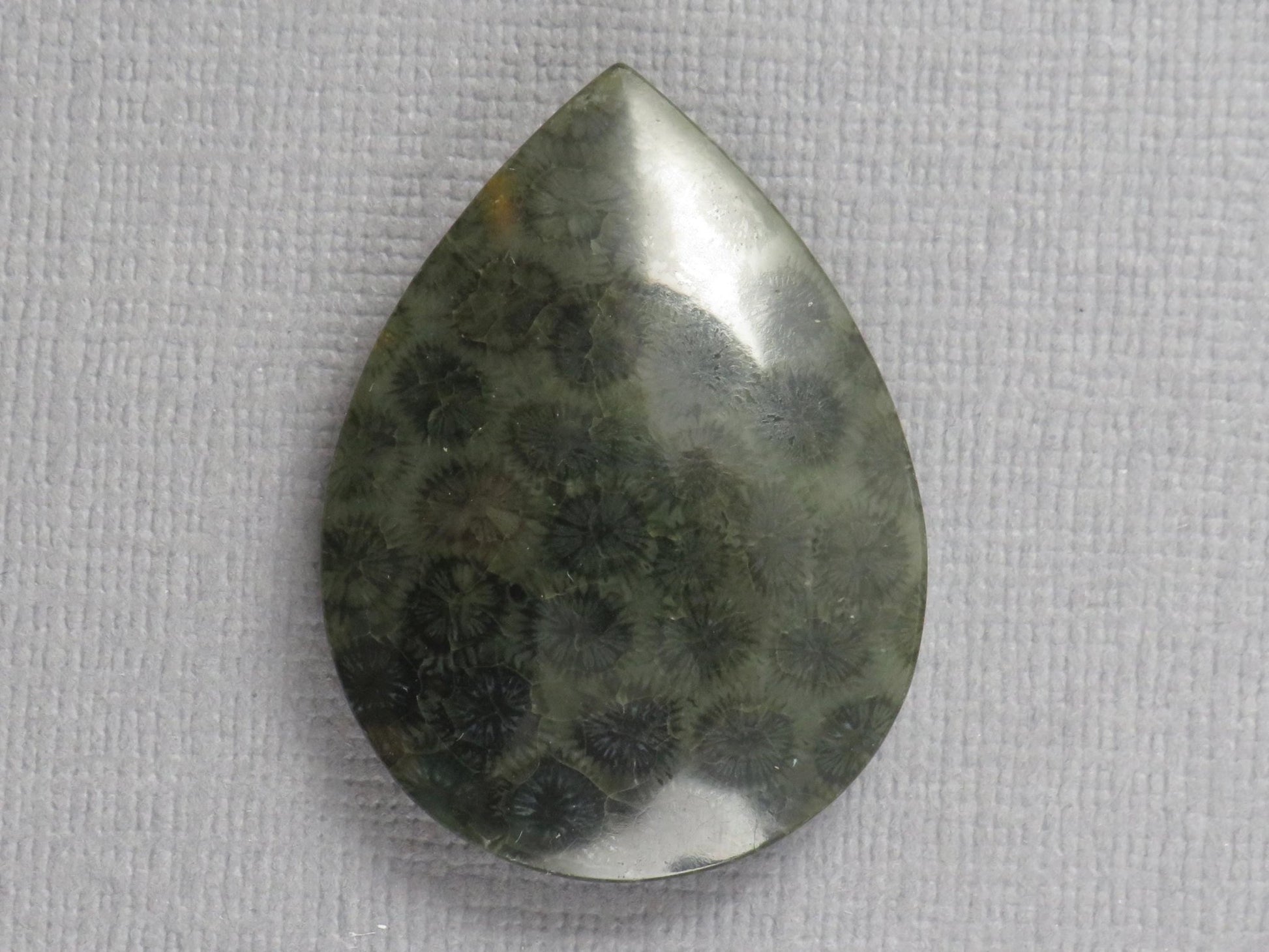 Green Fossilized Coral Pear Cabochon | Agatized Gemstone | 33x25mm, 35ct | Indonesia | FC110 - Gem Enthusiast