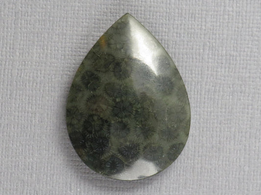 Green Fossilized Coral Pear Cabochon | Agatized Gemstone | 33x25mm, 35ct | Indonesia | FC110 - Gem Enthusiast