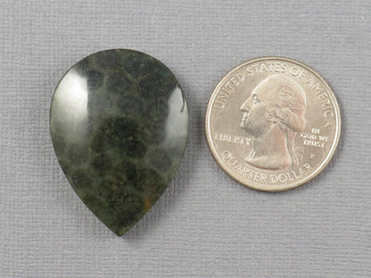 Green Fossilized Coral Pear Cabochon | Agatized Gemstone | 33x25mm, 35ct | Indonesia | FC110 - Gem Enthusiast