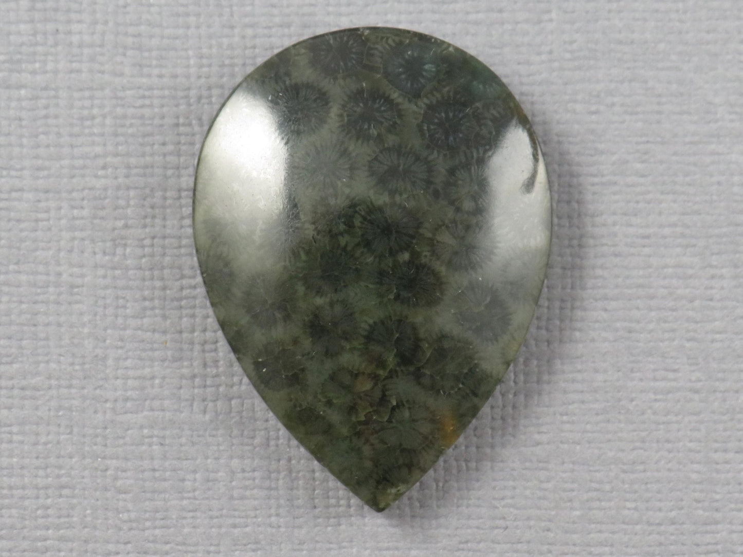 Green Fossilized Coral Pear Cabochon | Agatized Gemstone | 33x25mm, 35ct | Indonesia | FC110 - Gem Enthusiast