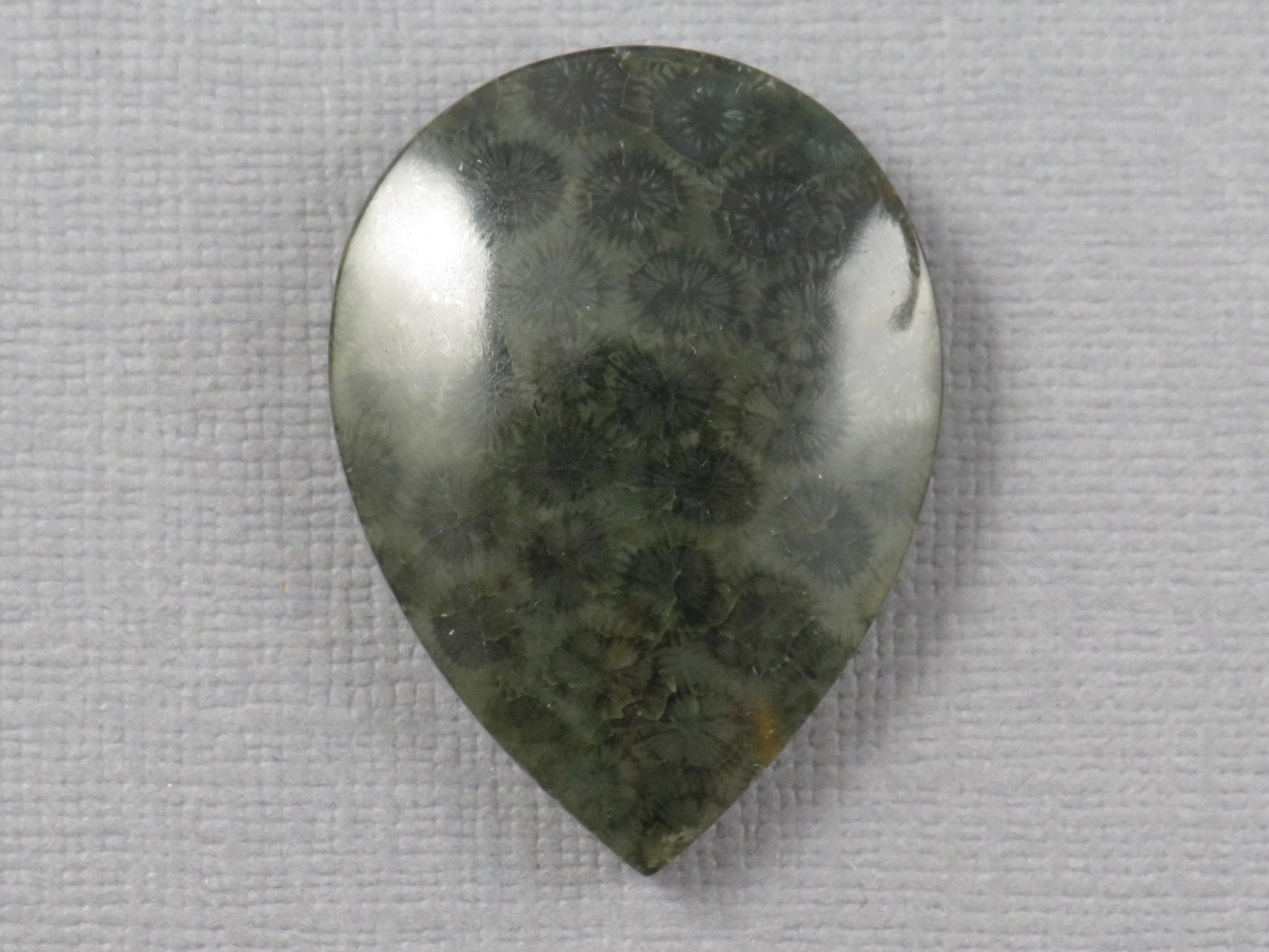 Green Fossilized Coral Pear Cabochon | Agatized Gemstone | 33x25mm, 35ct | Indonesia | FC110 - Gem Enthusiast