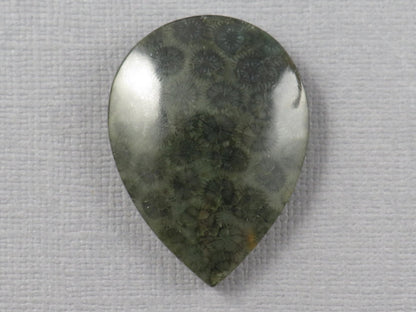 Green Fossilized Coral Pear Cabochon | Agatized Gemstone | 33x25mm, 35ct | Indonesia | FC110 - Gem Enthusiast