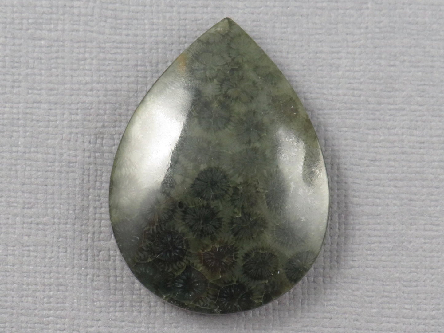 Green Fossilized Coral Pear Cabochon | Agatized Gemstone | 33x25mm, 35ct | Indonesia | FC110 - Gem Enthusiast
