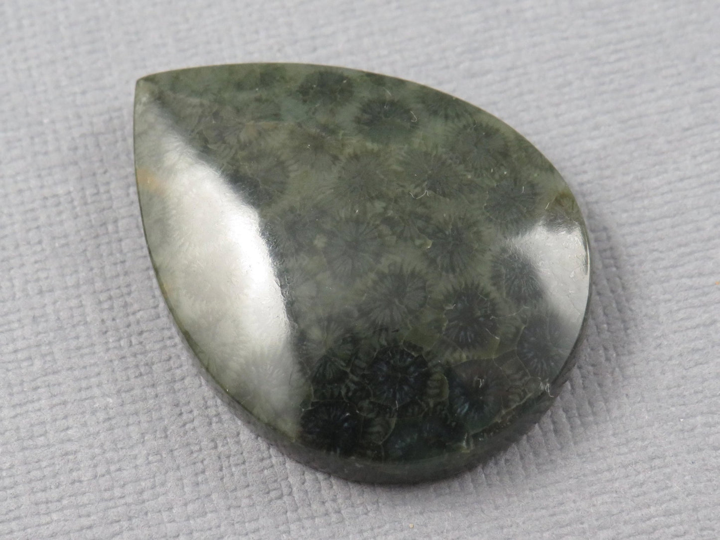 Green Fossilized Coral Pear Cabochon | Agatized Gemstone | 33x25mm, 35ct | Indonesia | FC110 - Gem Enthusiast
