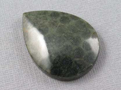 Green Fossilized Coral Pear Cabochon | Agatized Gemstone | 33x25mm, 35ct | Indonesia | FC110 - Gem Enthusiast