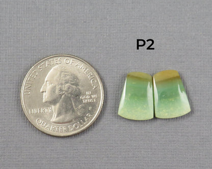 Green Petrified Wood Opal | Cabochons for Setting | 14–16mm, avg 7.4ct | Per Pair | Indonesia | WO261 - Gem Enthusiast