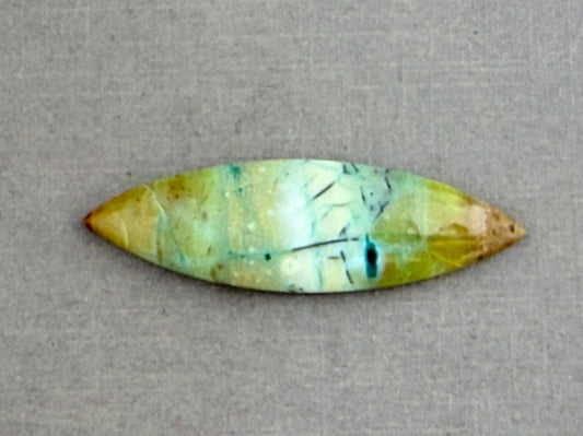 Petrified Wood Opal Pear | Natural Opalized Fossil Cabochon | WO240 - Wood Opal, Petrified Wood - GemEnthusiast