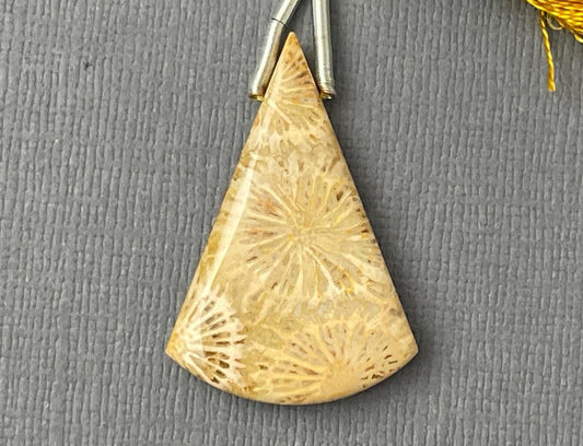 Large Fossil Coral Bead | Natural Loose Gemstone | Z216 - - GemEnthusiast