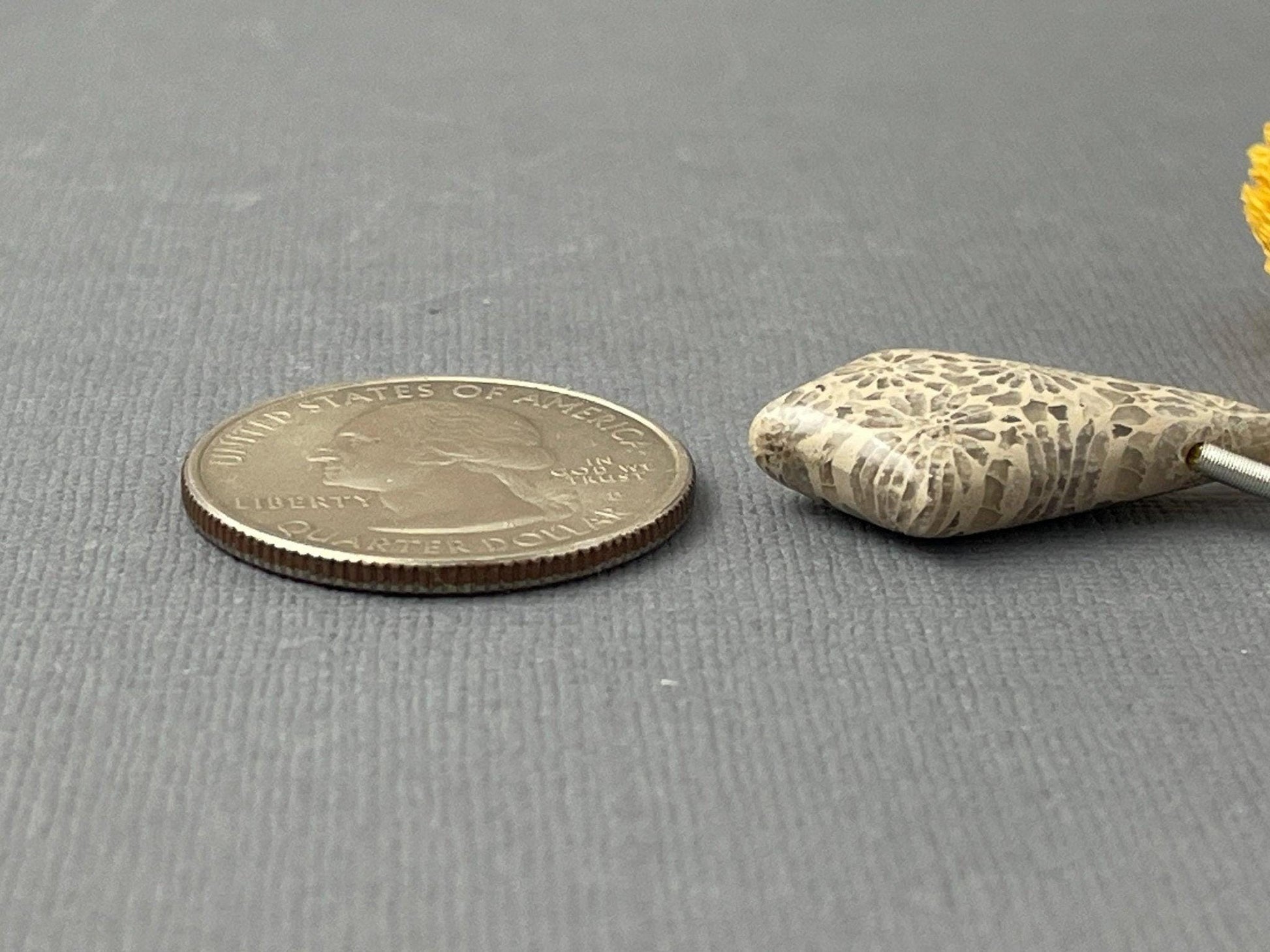 Large Fossil Coral Bead | Natural Loose Gemstone | Z215 - - GemEnthusiast