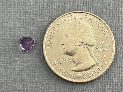 5mm Arizona Amethyst Trillion | Loose Gemstone | Ethically Sourced | Per Stone - Amethyst - GemEnthusiast