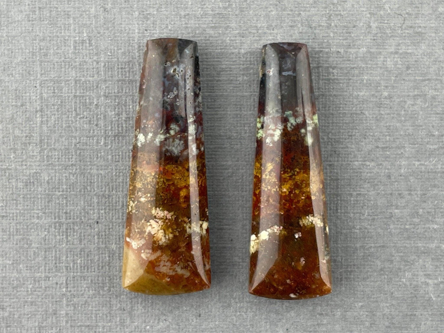 Petrified Wood Pair | Natural Fossil Cabochons | AG303 - Petrified Wood Opal - GemEnthusiast