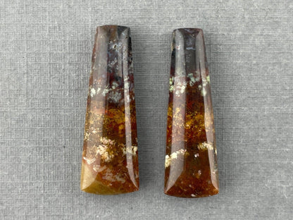 Petrified Wood Pair | Natural Fossil Cabochons | AG303 - Petrified Wood Opal - GemEnthusiast