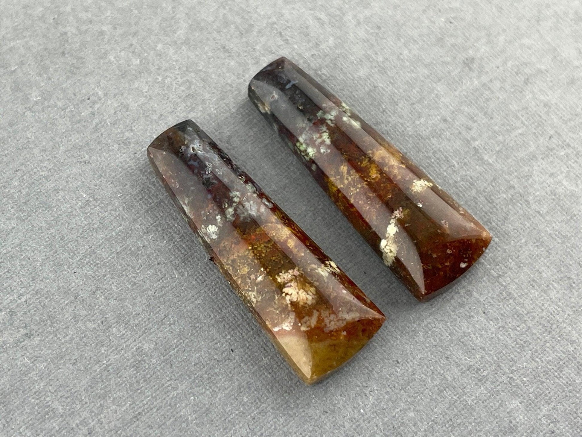 Petrified Wood Pair | Natural Fossil Cabochons | AG303 - Petrified Wood Opal - GemEnthusiast
