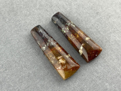 Petrified Wood Pair | Natural Fossil Cabochons | AG303 - Petrified Wood Opal - GemEnthusiast