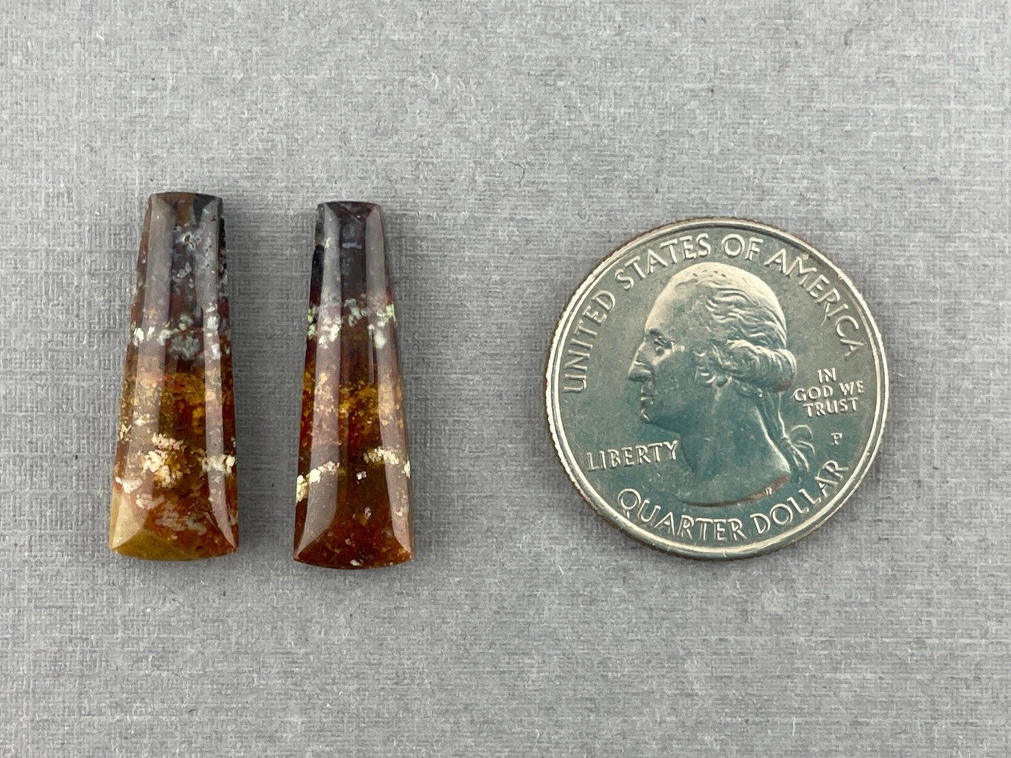 Petrified Wood Pair | Natural Fossil Cabochons | AG303 - Petrified Wood Opal - GemEnthusiast