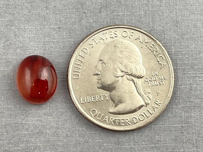 11x9 Red Oregon Sunstone Oval Cabochon | Schiller | 4.43 carats | OSC258 - - GemEnthusiast