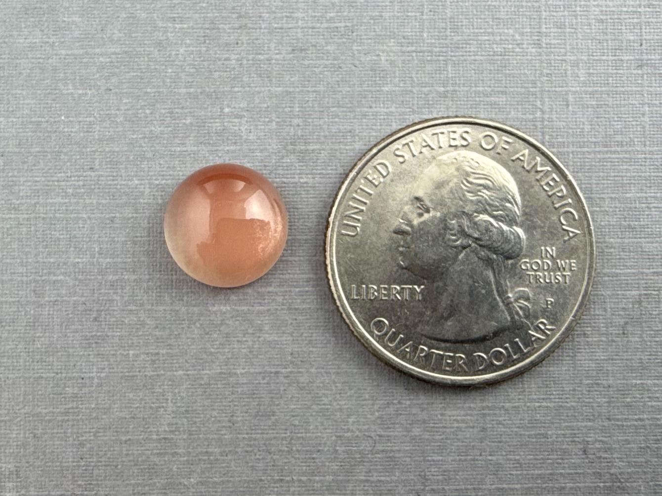 11mm Oregon Sunstone Round Cabochon | 5.19 carats | OSC315 - Oregon Sunstone - GemEnthusiast