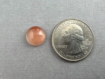 11mm Oregon Sunstone Round Cabochon | 5.19 carats | OSC315 - Oregon Sunstone - GemEnthusiast